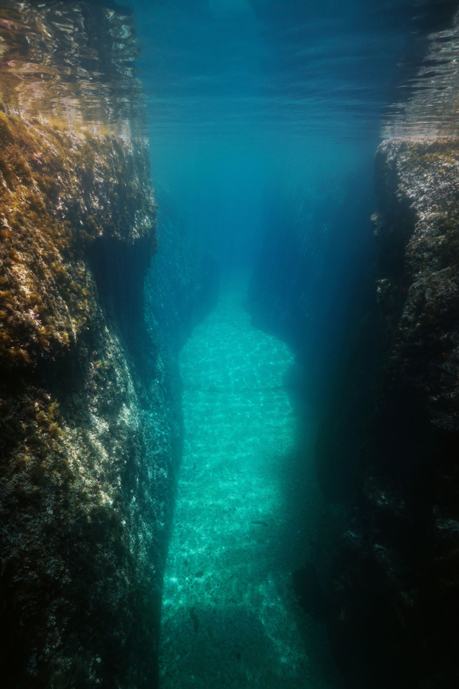 Crevice between rocks underwater Mediterranean sea
