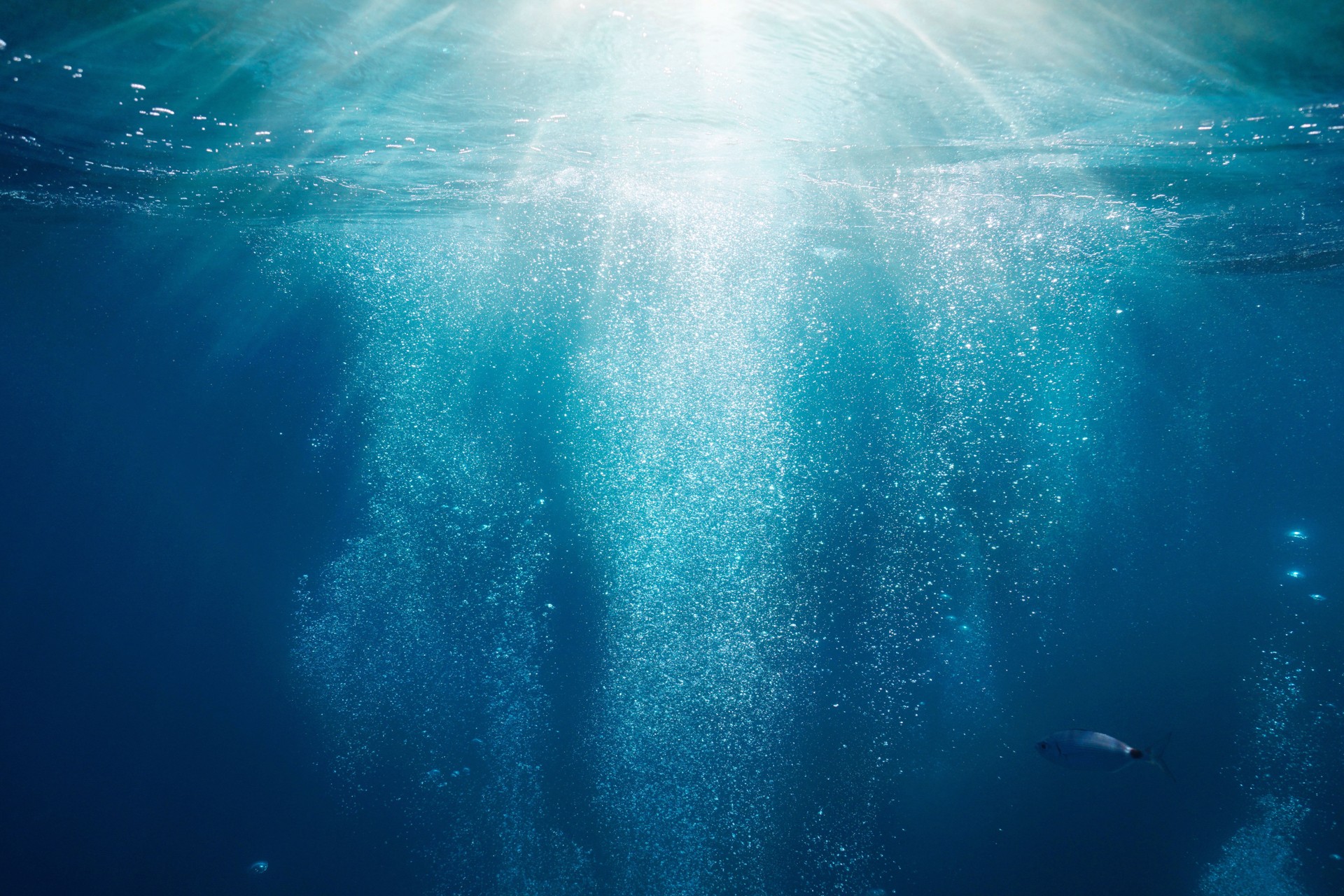 Sunlight underwater with bubbles rising to water surface in the sea