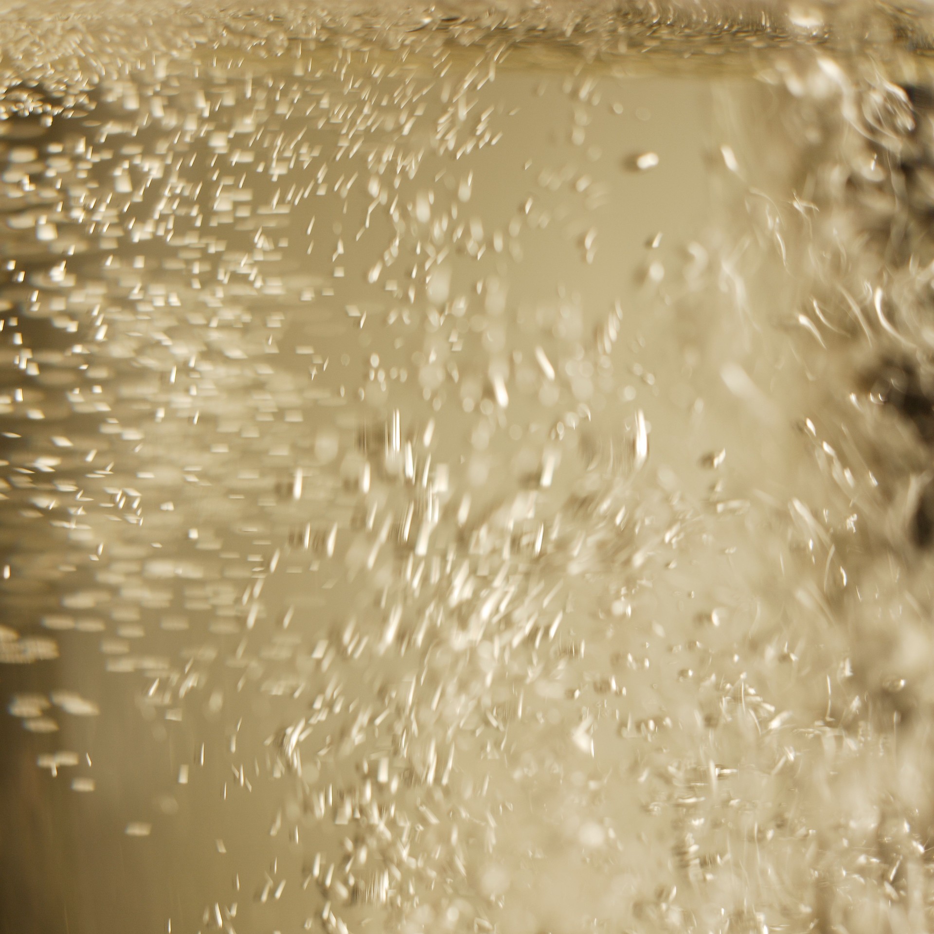 Sparkling wine bubbles